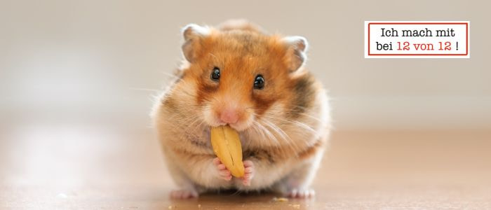 12 von 12 im August 2025