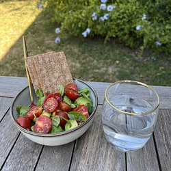 Avocado Tomaten Melange Ein frischer Avocado-Tomaten-Salat mit knusprigem Vollkorn-Knäckebrot.