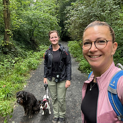 Monatsrueckblick_August_2024_Bucketlist_Wander_Drachenfels Monatsrückblick August 2024 - Bucket List Wandern im Siebengebirge auf dem Drachenfels