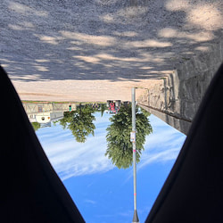 Veraenderte Perspektive bei Lauftraining fuer Einsteiger in Duesseldorf Tag 12 von 12 im Juni 2022 von Sonja Fuchs alias Fuchsmunter Veraenderte Perspektive bei Lauftraining fuer Einsteiger in Duesseldorf Tag 12 von 12 im Juni 2022 von Sonja Fuchs alias Fuchsmunter