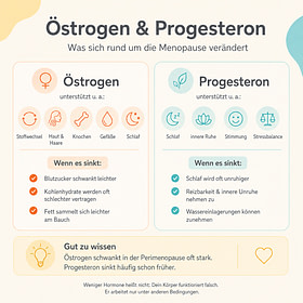 Östrogen und Progesteron rund um die Menopause Infografik zu Östrogen und Progesteron rund um die Menopause mit Auswirkungen auf Stoffwechsel, Schlaf, Stimmung und Stressbalance