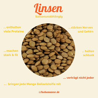 Infografik Linsen die vielseitigen Huelsenfruechte im Linsensalat mit roter Bete und Feta Infografik Linsen die vielseitigen Huelsenfruechte im Linsensalat mit roter Bete und Feta