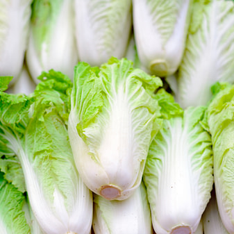 Chinakohl ist ein echtes Leichtgewicht in der Küche Chinakohl – kalorienarm, nährstoffreich und ein echtes Allround-Talent in der Küche!