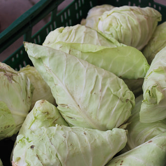 Spitzkohl der Turbo-Kohl unter den Kohlsorten Frische Spitzkohlköpfe auf einem Marktstand.