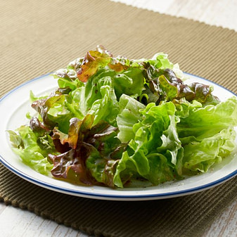 Dauerverzicht ab 40 – warum er ins Gegenteil führt Teller mit Blattsalat – Symbol für Dauerverzicht, der ab 40 oft in den Jo-Jo-Effekt führt