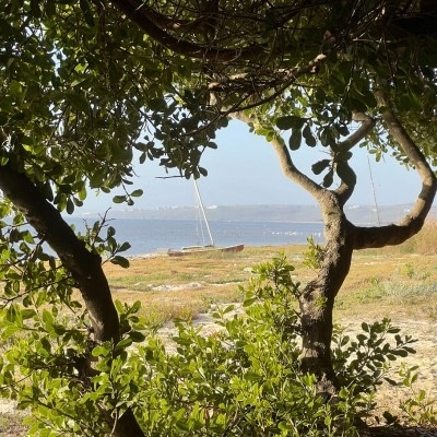 Ringana_dea _shots_in_12_Tagen_zu_mehr_Leichtigkeit_dein_Ziel_fuer_die_Kur Eine 12-Tage-Kur mit Ringana dea Shots bietet die Moeglichkeit von Selbstreflexion.