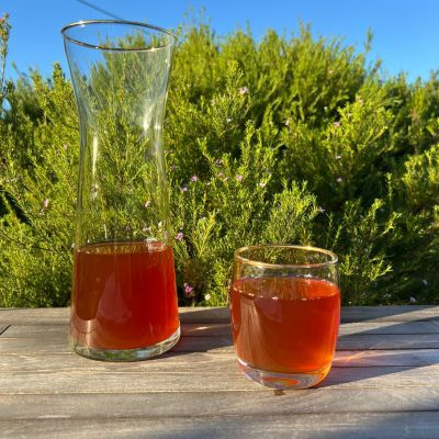 In_12_Tagen_zu_mehr_Leichtigkeit_south_africa_edition Ringana dea vor einem Fynbos-Strauch im Garten meiner Freundin in Südafrika.